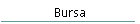 Bursa